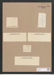 Navicula sp. (de-Toni-Nr.: Genus 1, Species 2056 ?) Zeichnungen Sammlung Grunow Nr. 1509 (NHMW-BOT-W0368026)